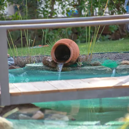 Amazing In - Alke Vida Albufeira