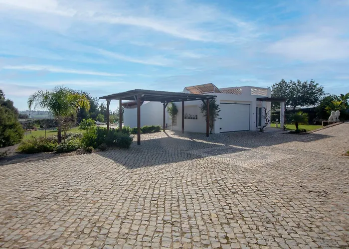 Amazing In - Alke Vida