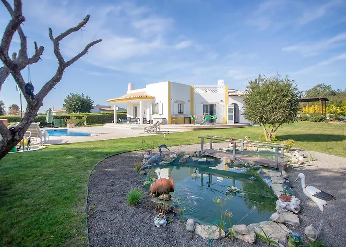 Amazing In - Alke Vida