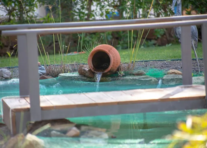 Amazing In - Alke Vida 알부페이라