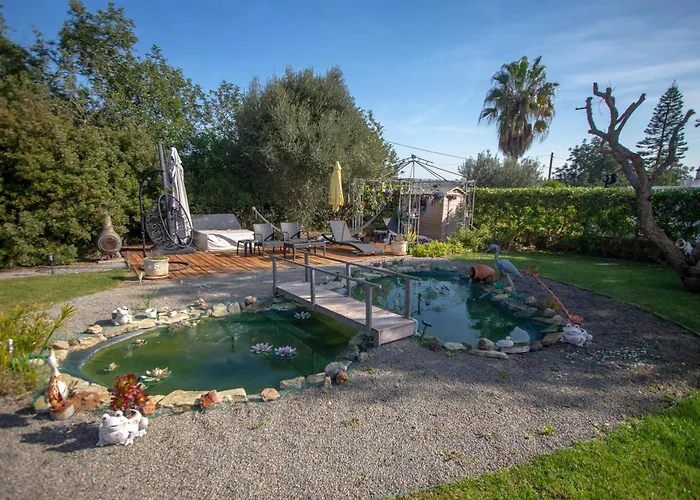 Amazing In - Alke Vida