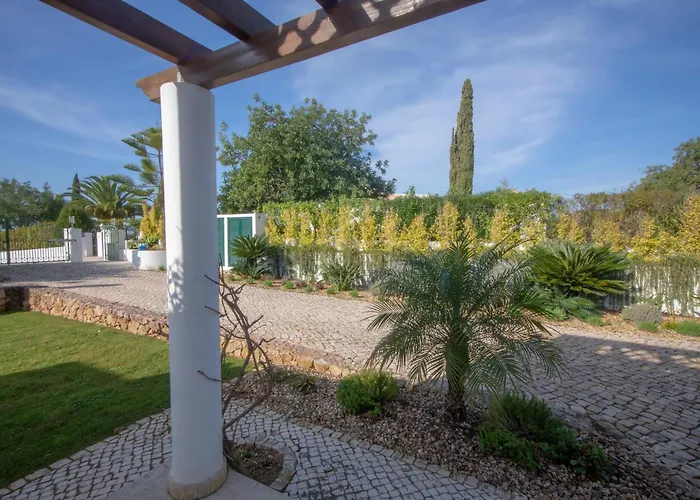 Amazing In - Alke Vida * 알부페이라