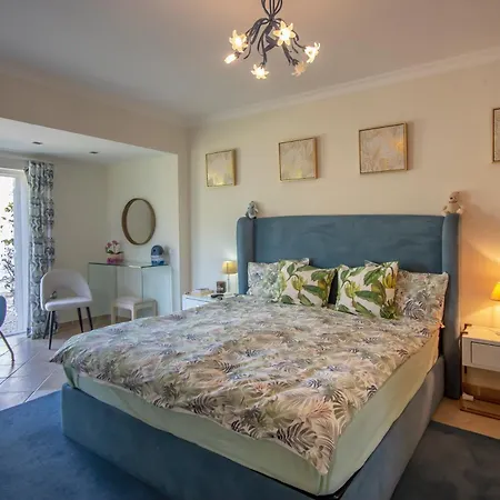 Vila Amazing In - Alke Vida *