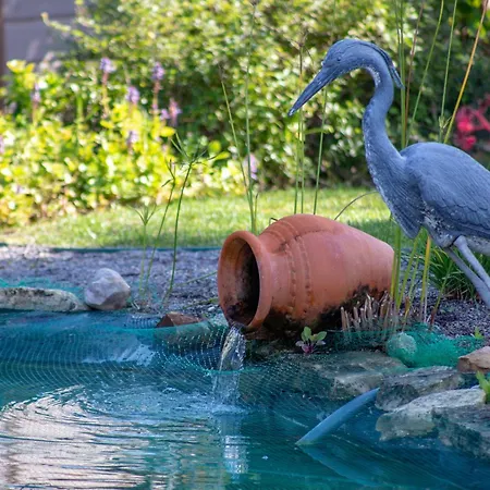 Vila Amazing In - Alke Vida