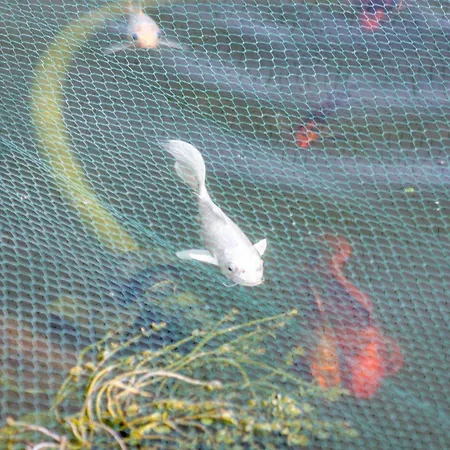 Amazing In - Alke Vida Albufeira