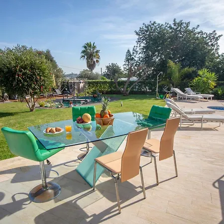 Amazing In - Alke Vida Vila *