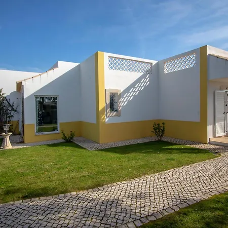 Amazing In - Alke Vida *