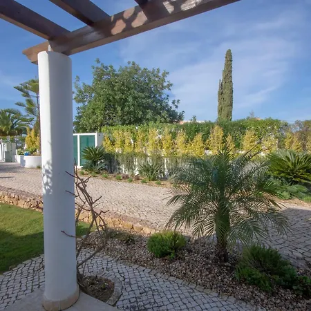 Amazing In - Alke Vida * אלבופיירה