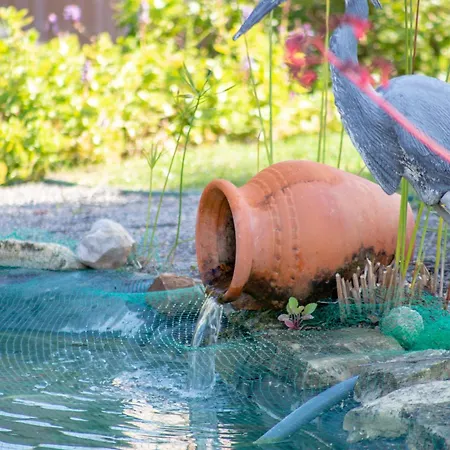 Amazing In - Alke Vida וילה